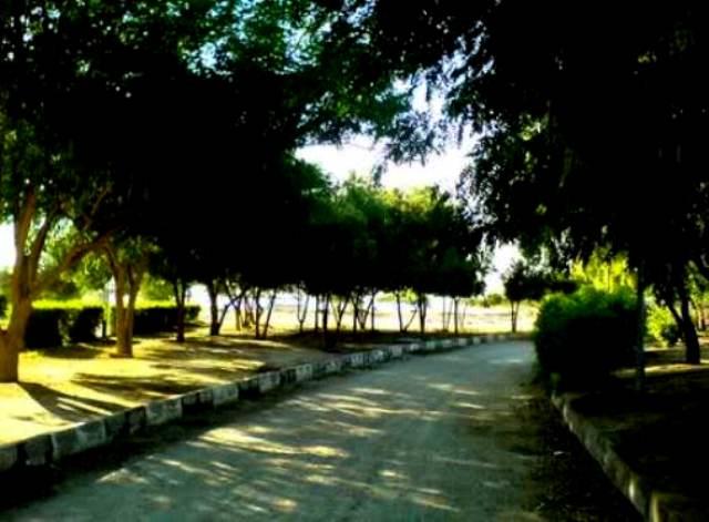 بوستان شغاب بوشهر-Vnc6mgcIVn