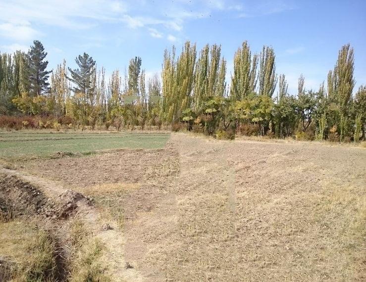 روستای بركوه-VzyoA1gB8n