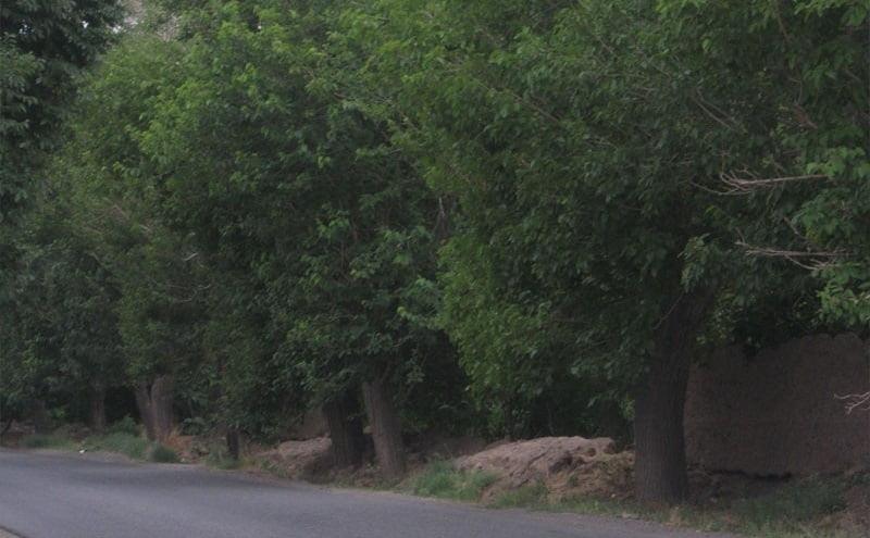 روستای تاج خاتون-W1GH7XhySN