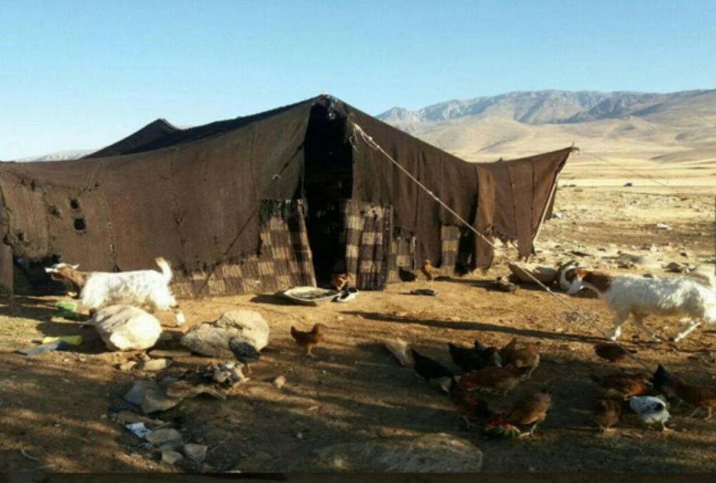 اقامتگاه بومگردی كوچ بوم عشایر مله كبود-W68RibAfti