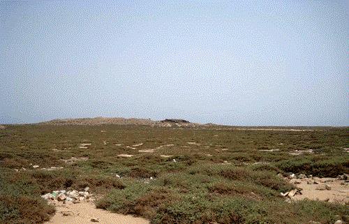 منطقه حفاظت شده فارور-WIoUx0HdQd