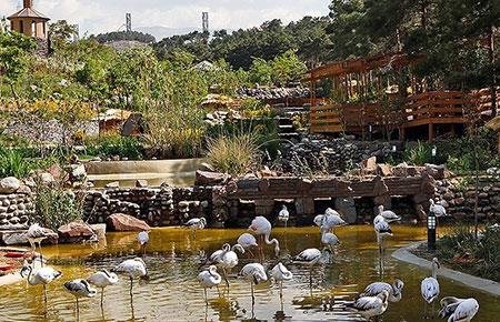 بهترین جاهای دیدنی ایران در تابستان-WJaNodIRLW