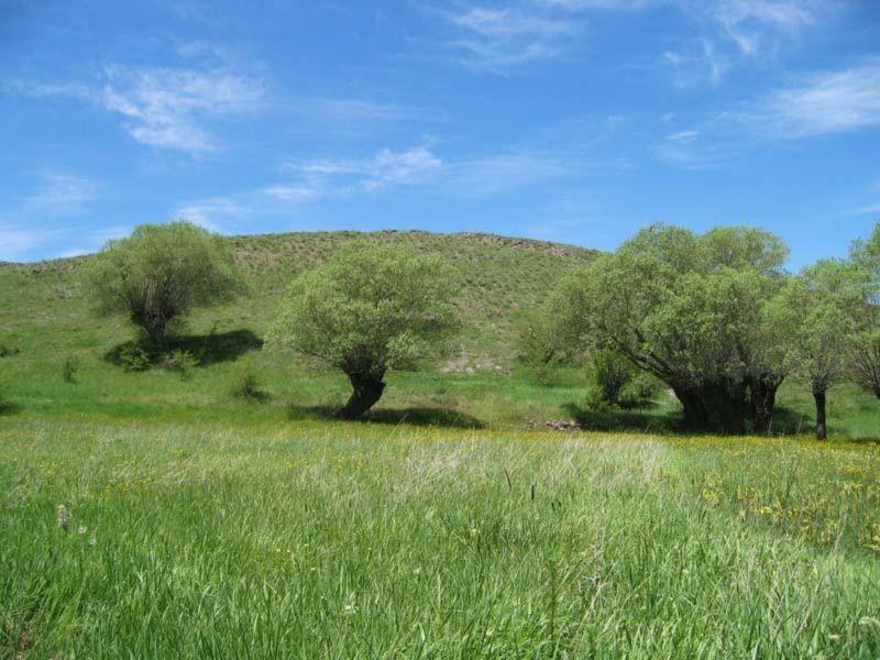 روستای زناسوج قزوین-WLDeb2E67m