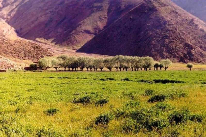 آبشار موآب افجه استان تهران, تهران-WLR9lFScja