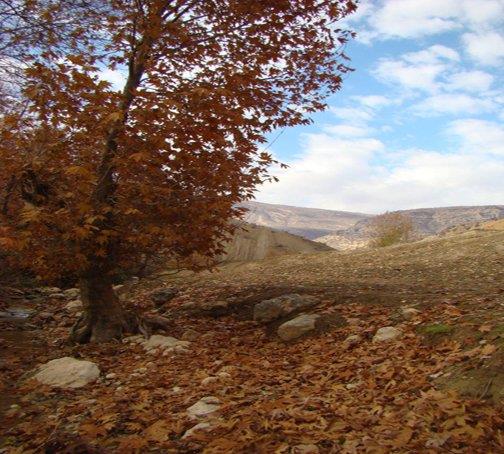 روستای بسطام-WRIMd6YtfV