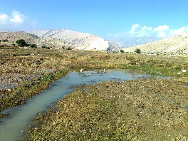 روستای كناره-WTBlCHAMgZ