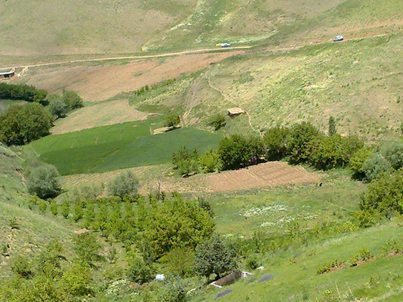 روستای عیسی آباد-WVu23PSy7h