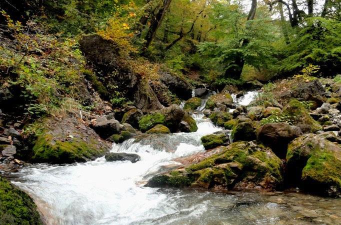دشت دریاسر ( بهشت اردیبهشت ایران )-Wbesz2VhCz