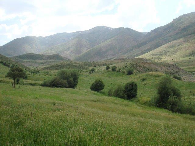 جنگل میر آباد-WcZkgIHLbq