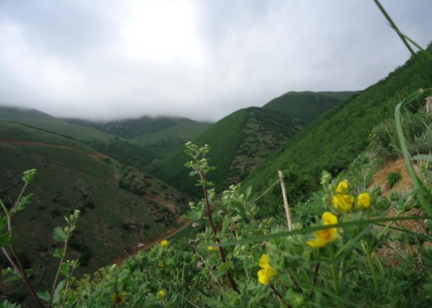 روستای آستمال-WdkKiyQdeD