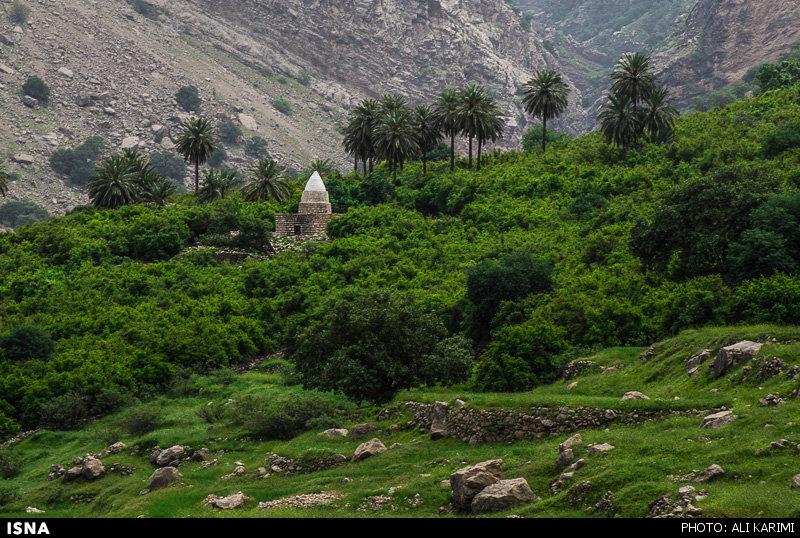 روستای شوی-WhWPp6kbge