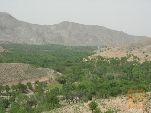 روستای سرسبز مصعبی-WpqcmVeIFv