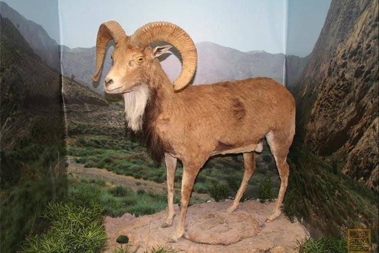 جاهای دیدنی بیرجند ( ۴۰ جاذبه گردشگری )-WtReHv7te7
