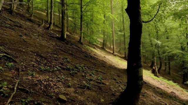 ییلاق زودلَ سَر-WyUmtbhHfA