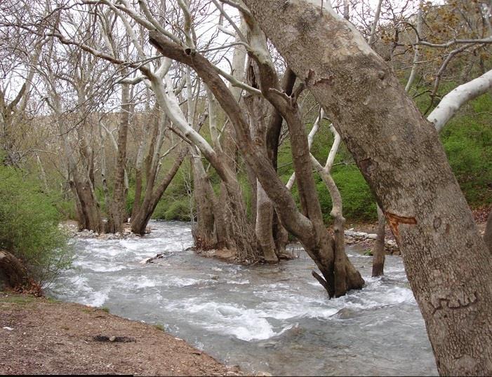 سراب نهاوند-X4UNzdSoBf