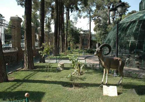 موزه حیات وحش هفت چنار تهران-X9cJD64Tpc