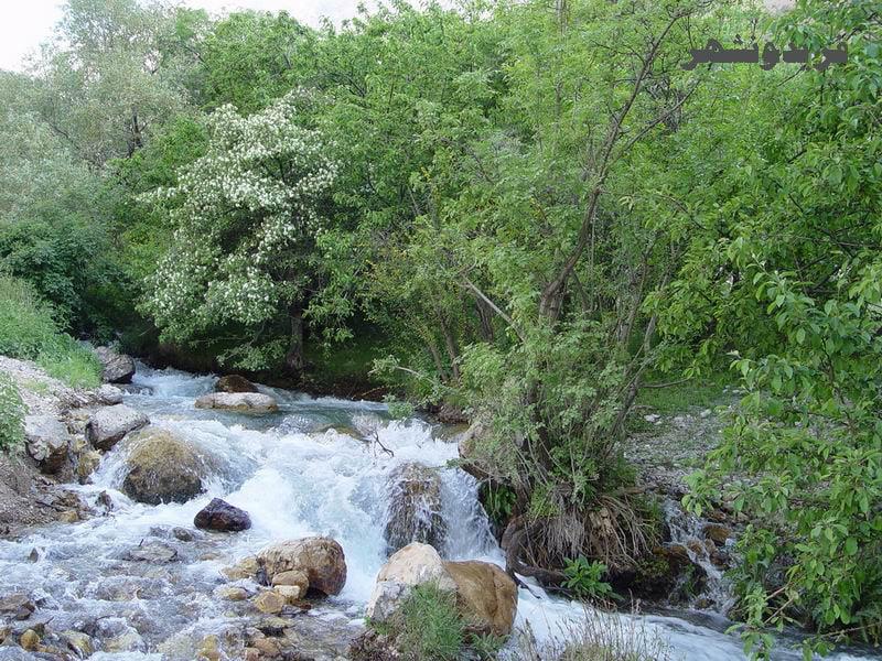 چشمه دره سپستان-XBsFUZc6Ek