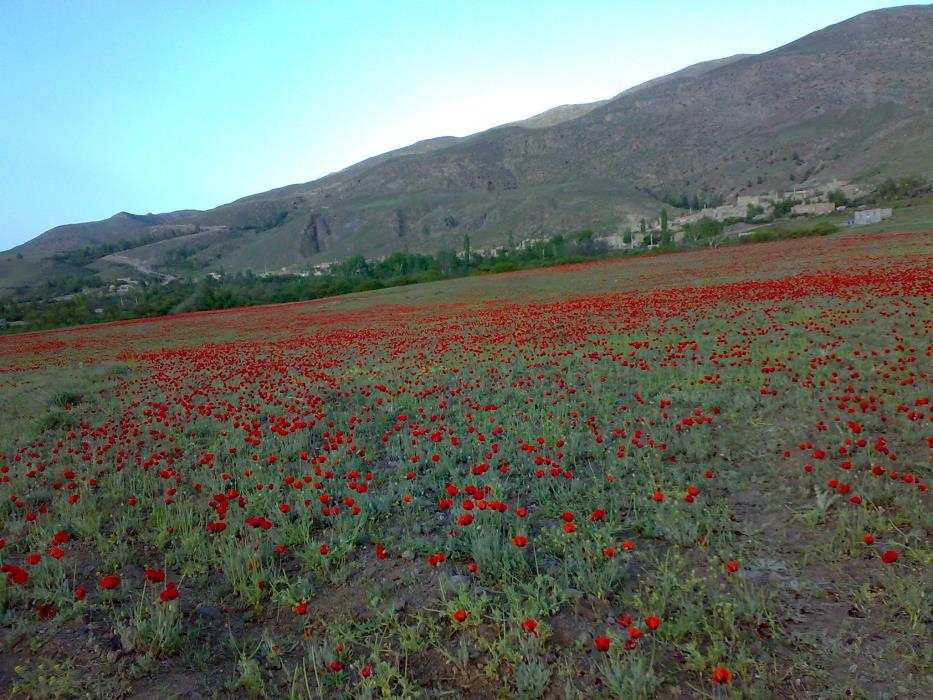 روستاهای اردبیل (معرفی ۱۶۱ روستای اردبیل )-XLOEW0iZt9