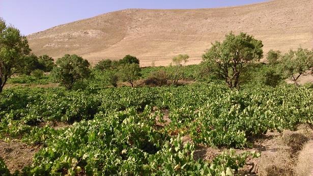 روستای چوزه-XPCUmYquQg