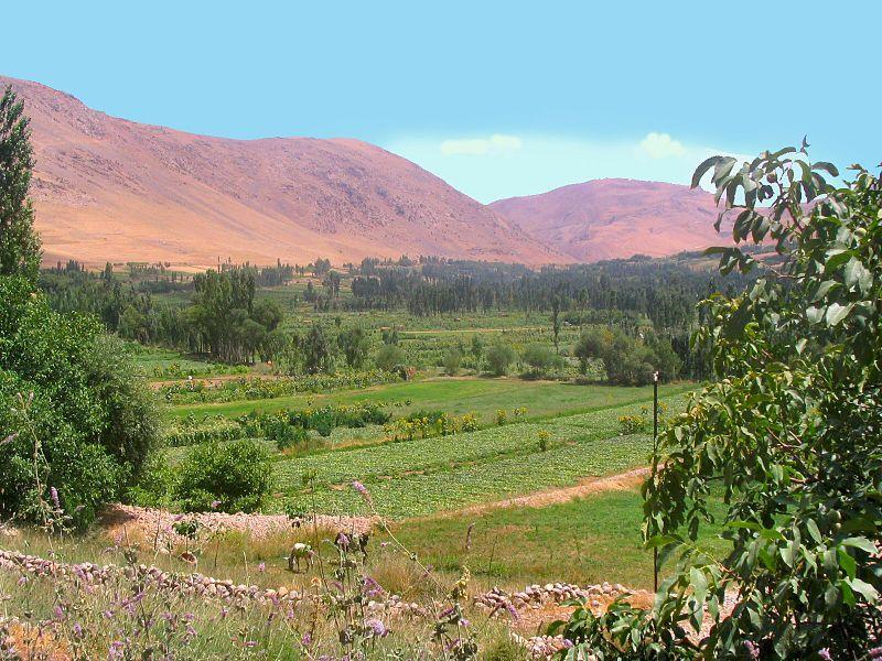 روستای ونایی-XPSbUw2NHV
