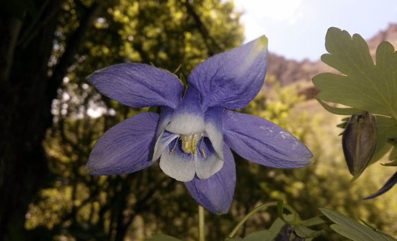 روستای كسیل-XQ5myHWRmI