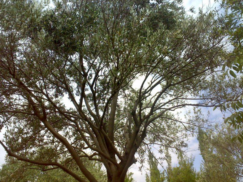 روستای التین كش-XSrHjzRThg