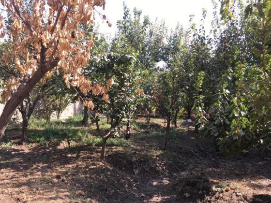 روستای شلمبه-XY9tB1xGI7