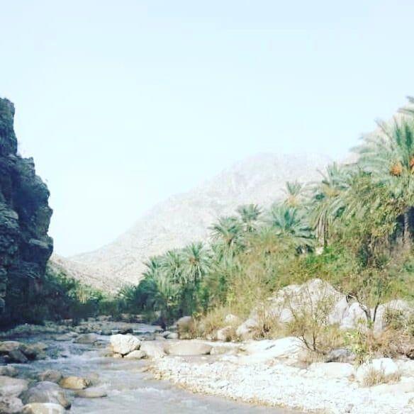تنگه پرستو هرمزگان-XoNGFQWbCV