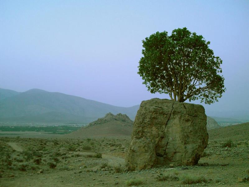 روستای چهارقلات-Xp5NIEBhfd