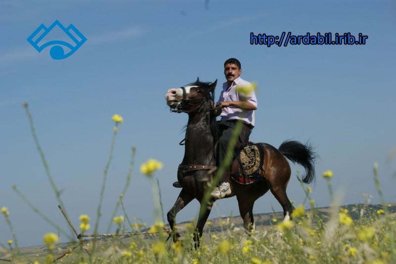 عشایر شاهسون-Y1YmCjcp2q