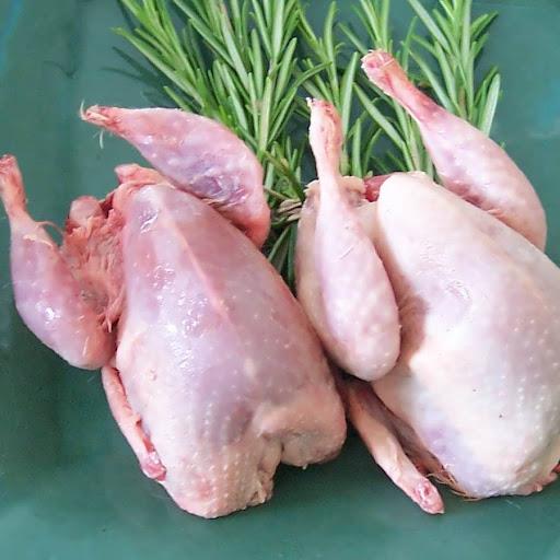 طرز تهیه بلدرچین به روشهای مختلف-Y6swSe8fuT