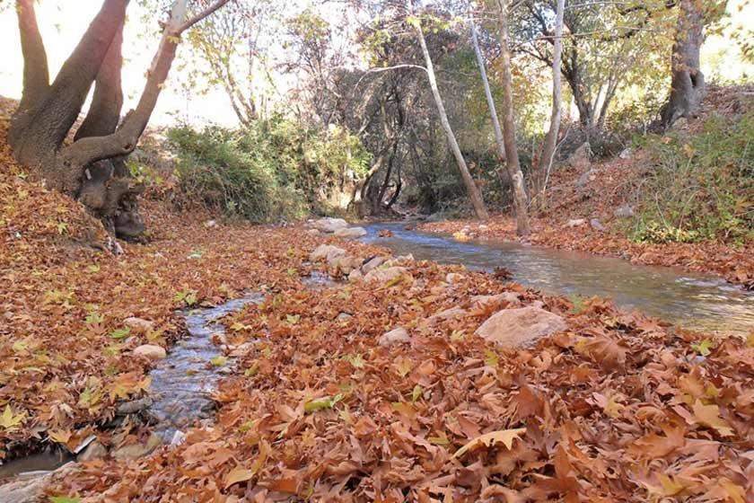 تنگ گنجه ای یاسوج-YCkgvBmkXX