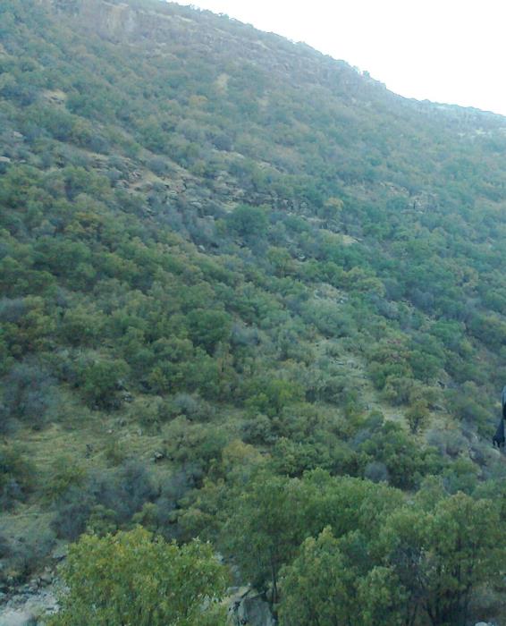 آبشار نای انگیز خرم آباد-YEBrfrCQlO
