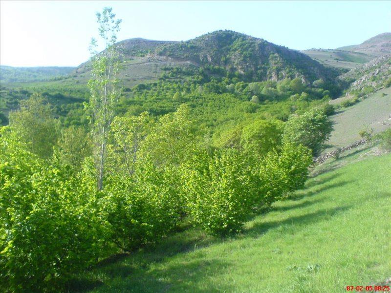 روستای پیركوه-YGQxHbEhWV