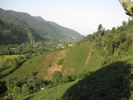 روستاهای فومن ( معرفی ۱۶۰ روستای فومن )-YRamdaVdg1
