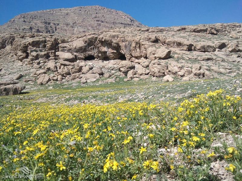 منطقه شكار ممنوع زرآباد-YWXTd896wJ