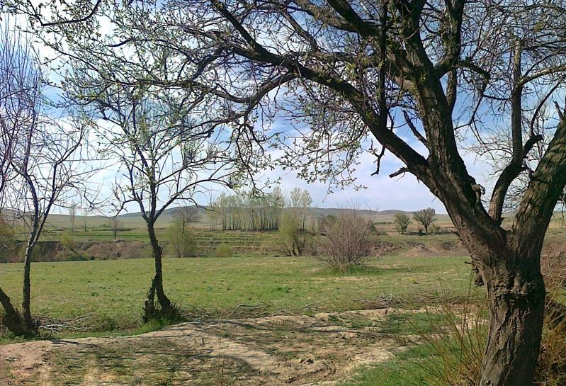 منطقه حفاظت شده نشر ( شراء )-YfZpswOYAM