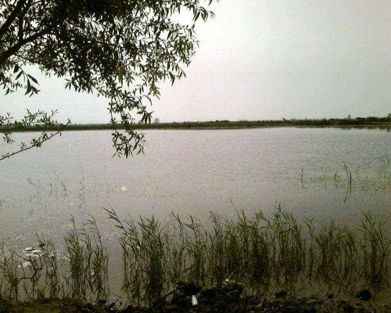 تالاب عزیزك-Yfc2epjvHK