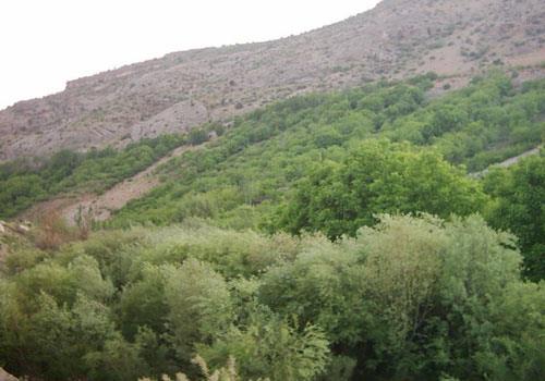 گردشگاه گردبیشه-YhYTgyvBPZ