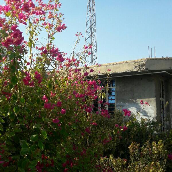 روستای كوشكك-YxHlP3u8qj