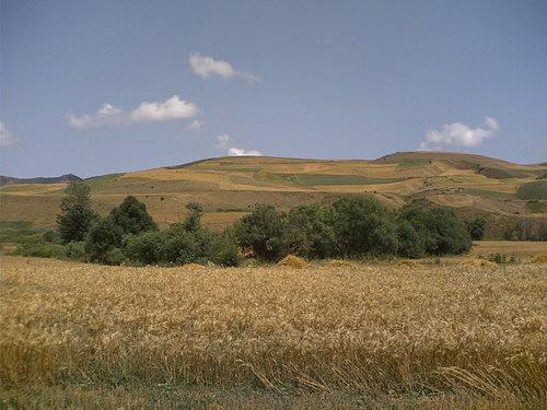روستای آزاد لو-YyLeErXOPN
