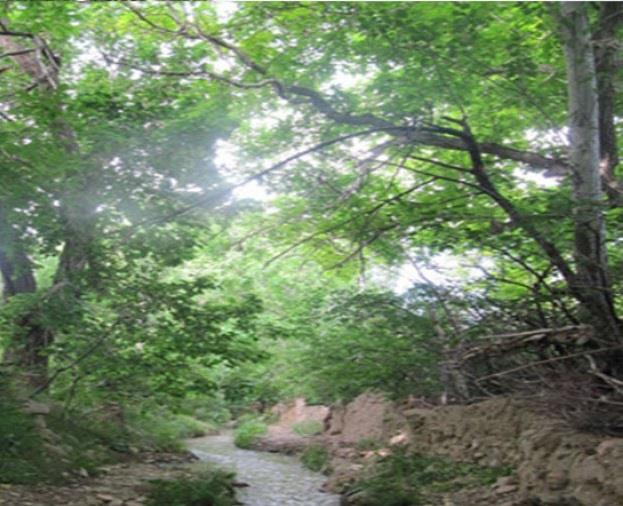 روستای اسفرجان-Z1jfsHalBl