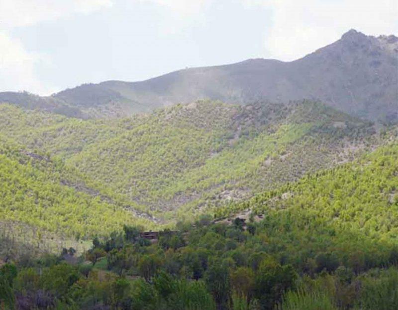 روستای آرندان-Z2dY0vrggN