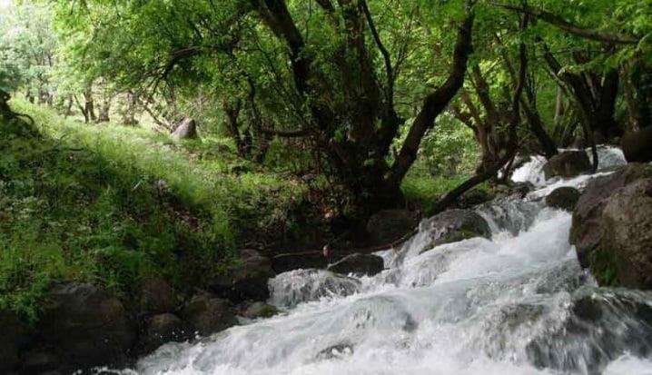 دره نی گاه دورود-ZOVMKT0Xr1