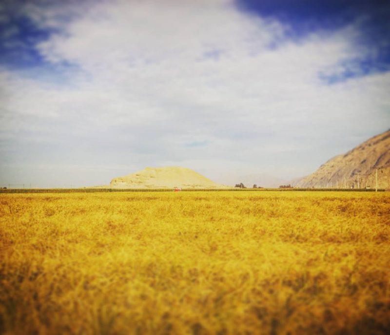 روستای فالونك-ZcSqZj278H