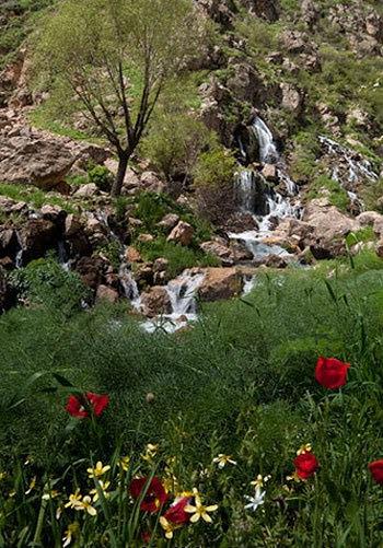 آبشار نره گر-ZgaXLurjfe