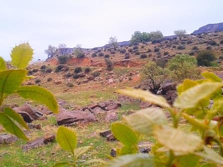 روستای دهنو مركزی-Zp0TWb93e5