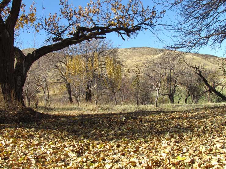 روستای كیونان-ZuzzgdzlYM