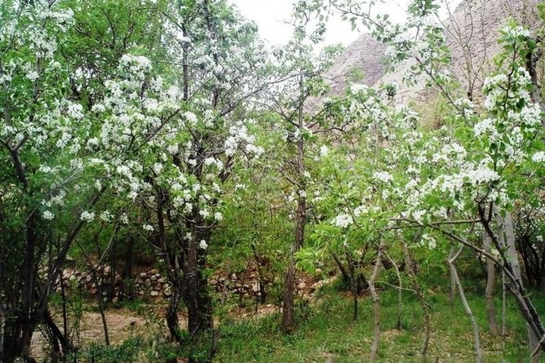 روستای خداآفرید-ZwFkdOf3Hg