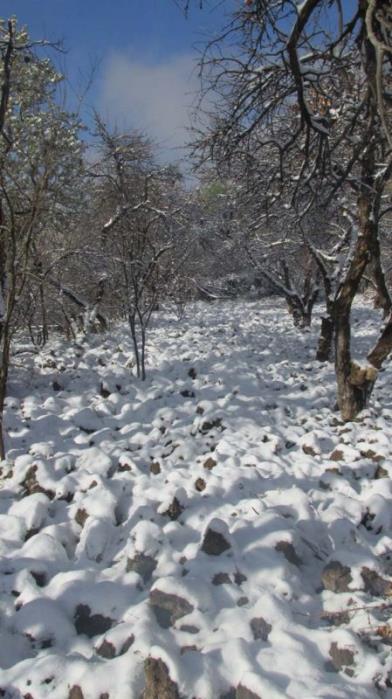 روستای نوایگان-Zzsco334AD